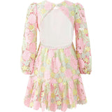 Estella Embroidered Mini Dress