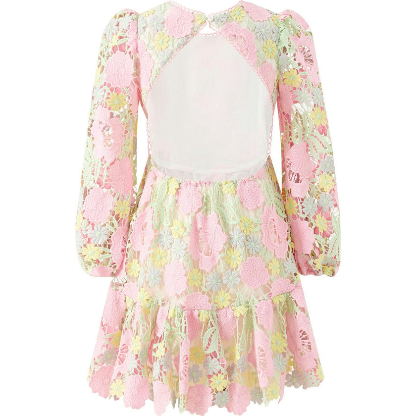 Estella Embroidered Mini Dress