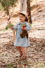 Clementine Dress in Denim Darling