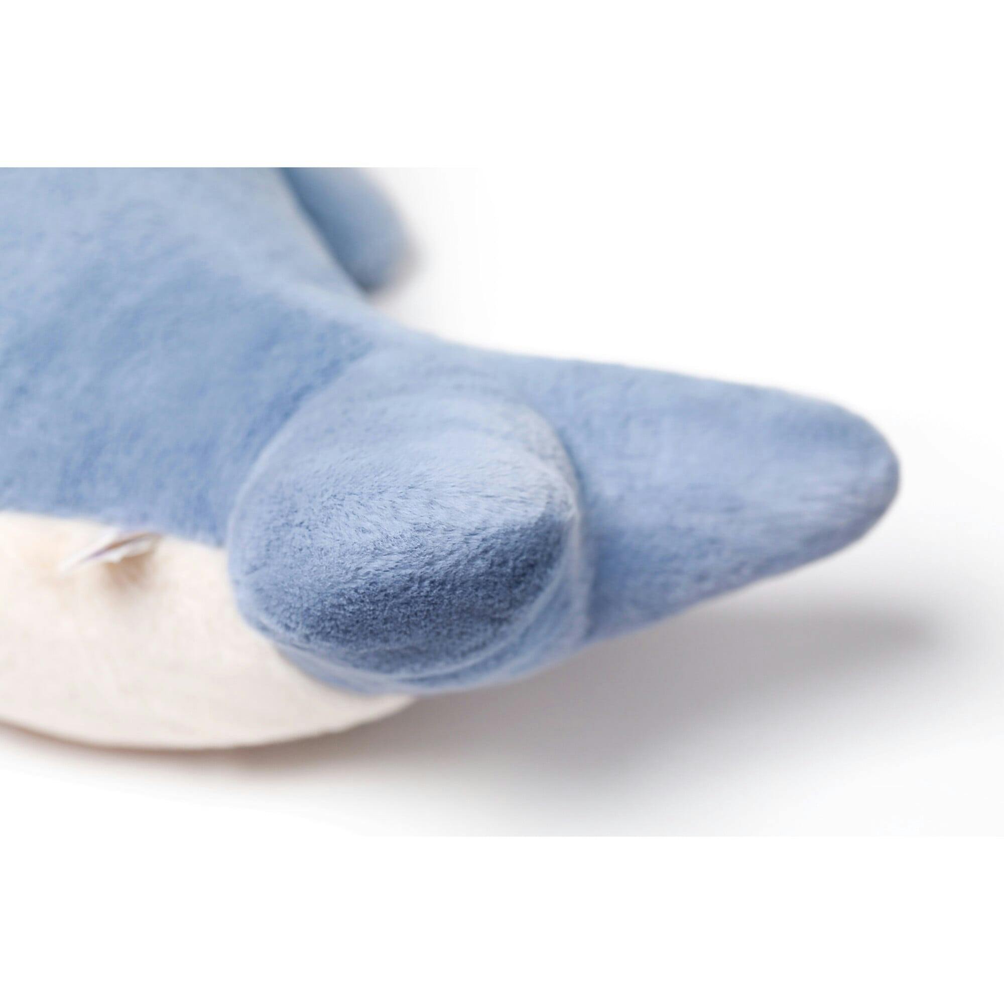 McHugs Big-Headed Whale 22
