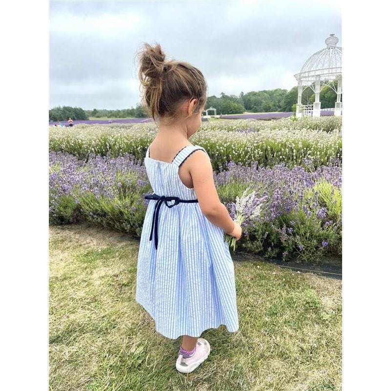 Seersucker Dress With Popsicles