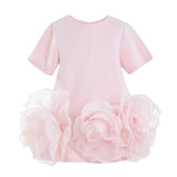Pink Verina Ruffled Hem A-Line Dress