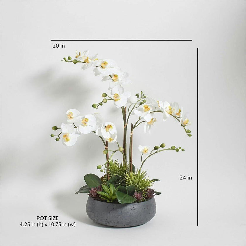 Artificial Orchid with Succulents