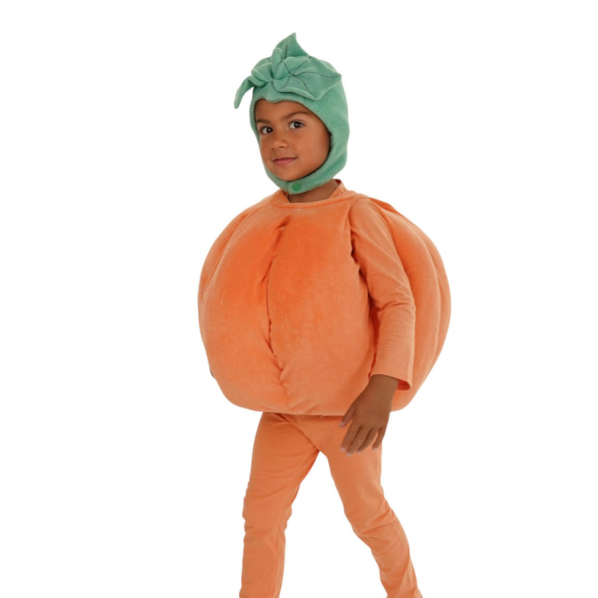 Pumpkin Patch Costume