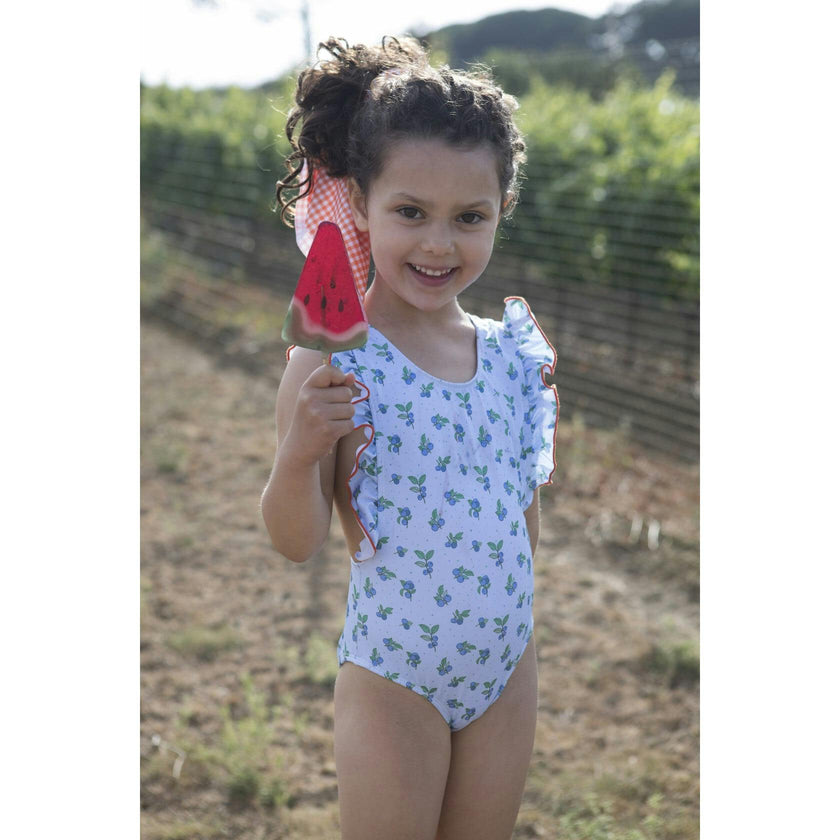 Blueberry Print Vichy Swimsuit, Multi
