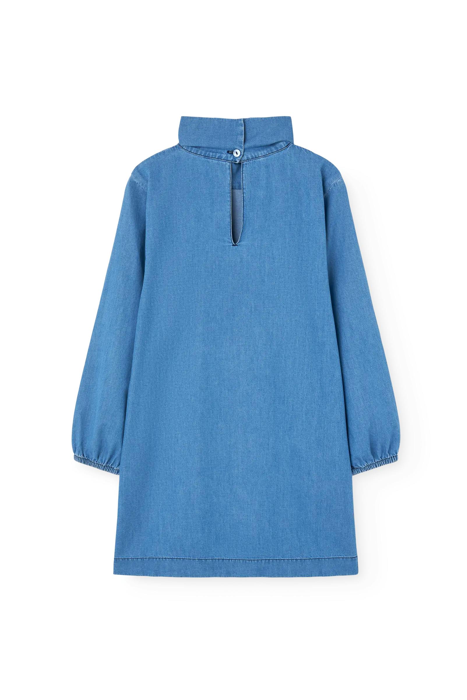 Dusty Blue Dragon Dress