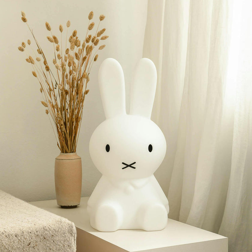 Mr Maria Miffy Lights