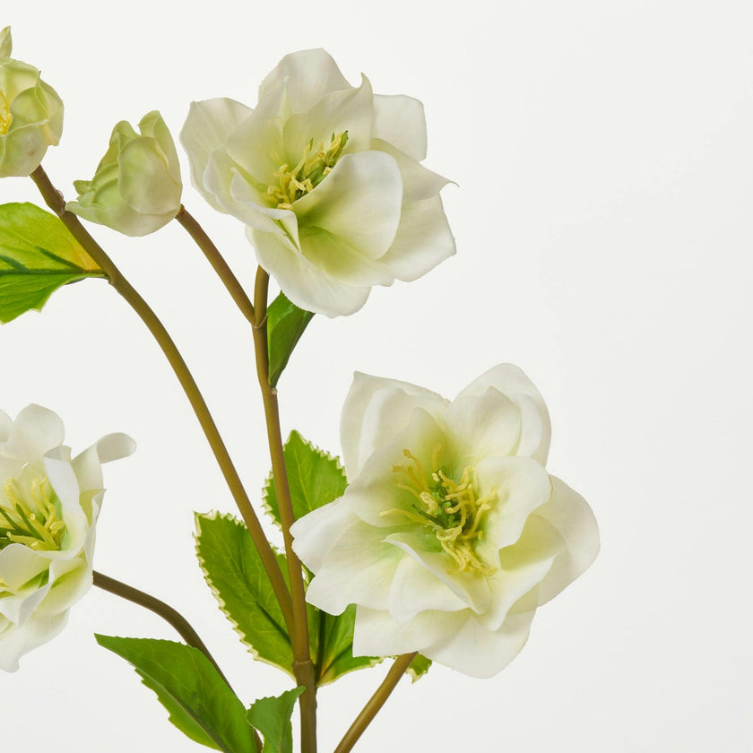 Real Touch Helleborus Stem 24" Single Real Touch Faux Floral Spray