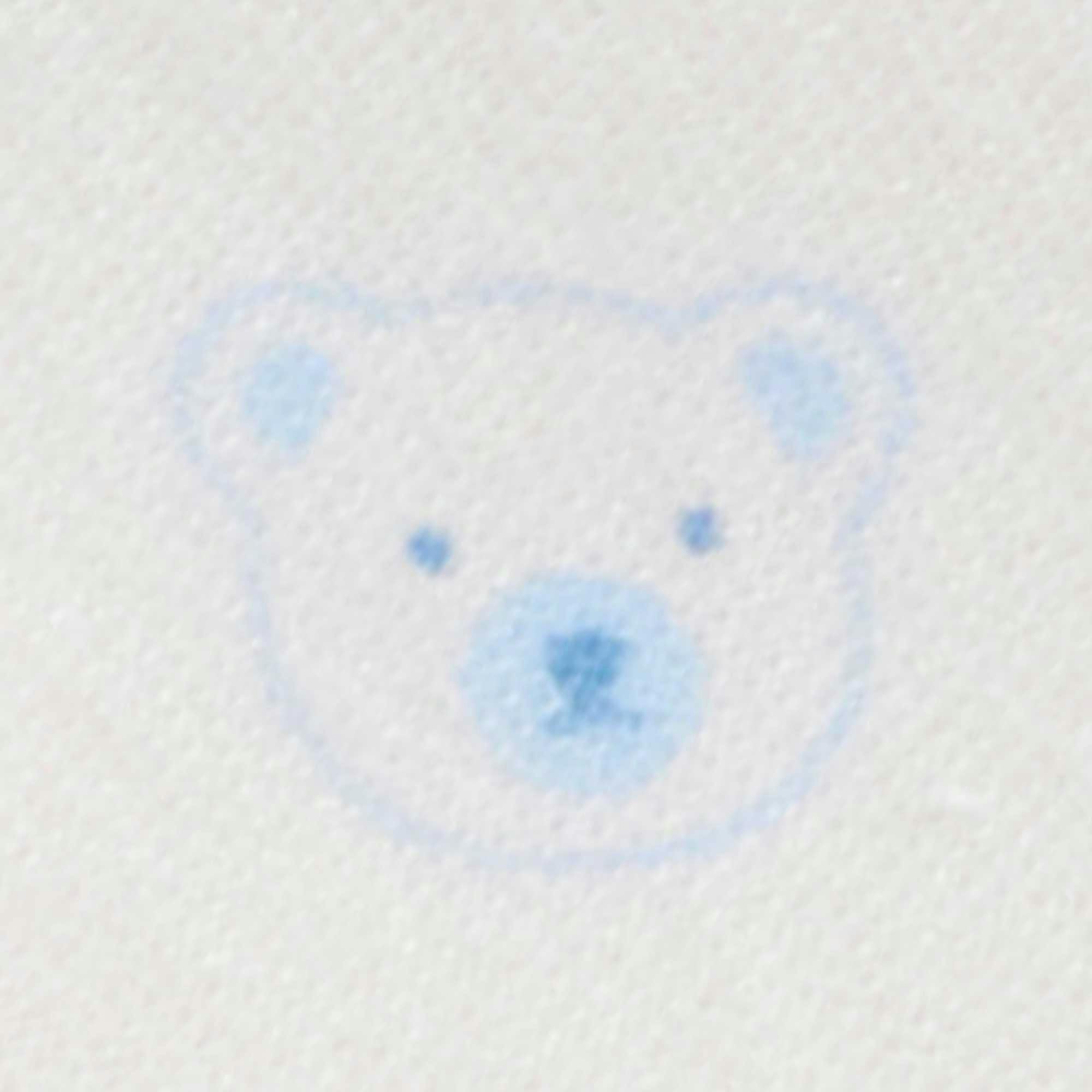 4 Pack Zip Growsuit Pale Blue Bear Pack