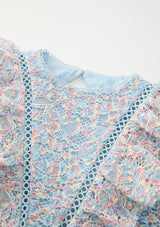 Ryleigh Embroidered Mini Dress
