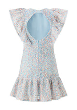 Ryleigh Embroidered Mini Dress