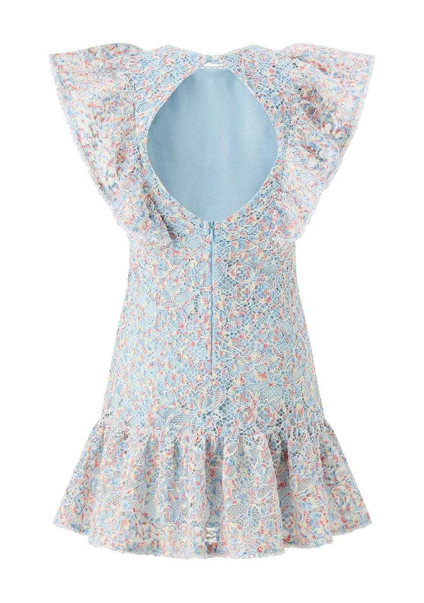 Ryleigh Embroidered Mini Dress