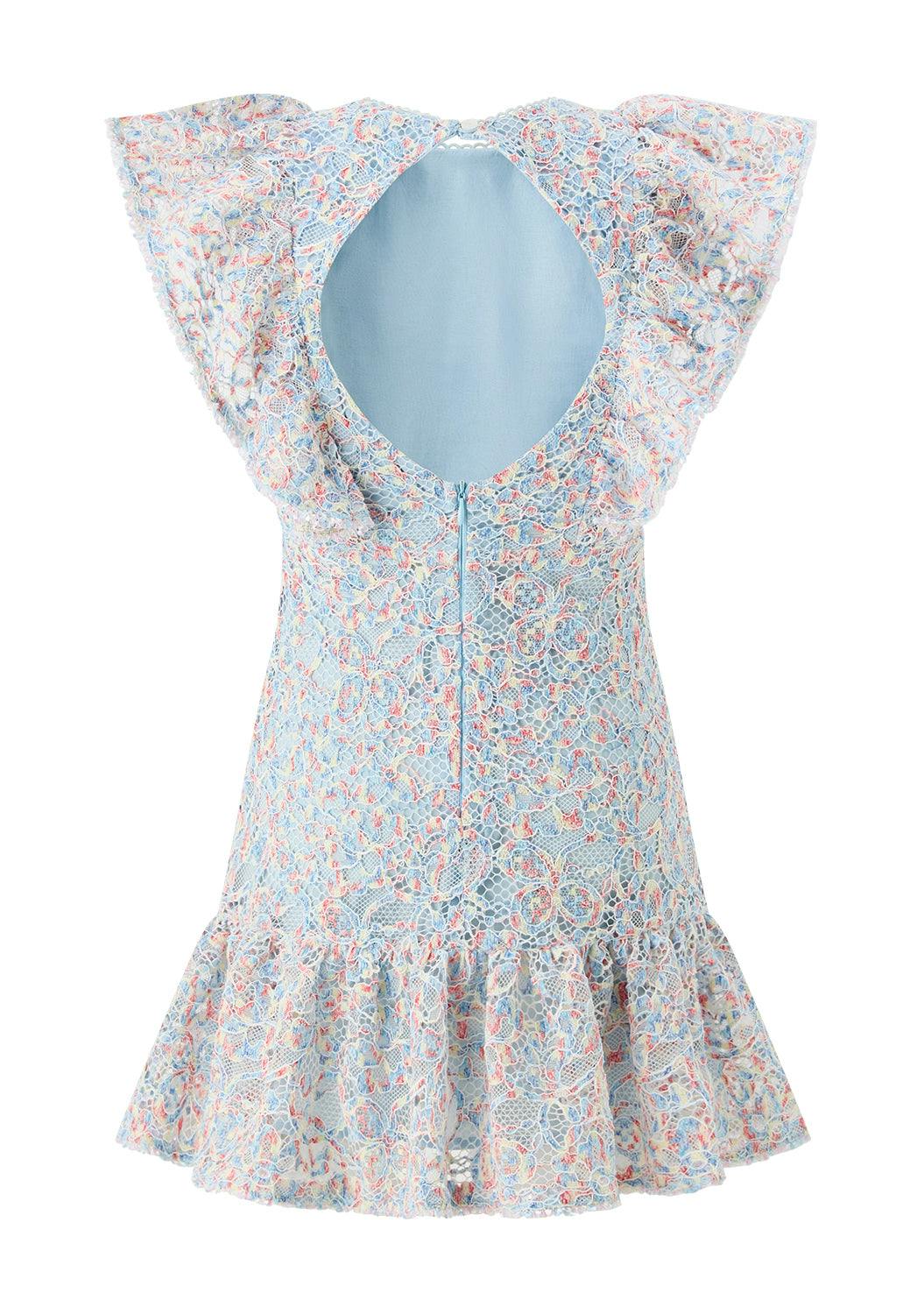 Ryleigh Embroidered Mini Dress