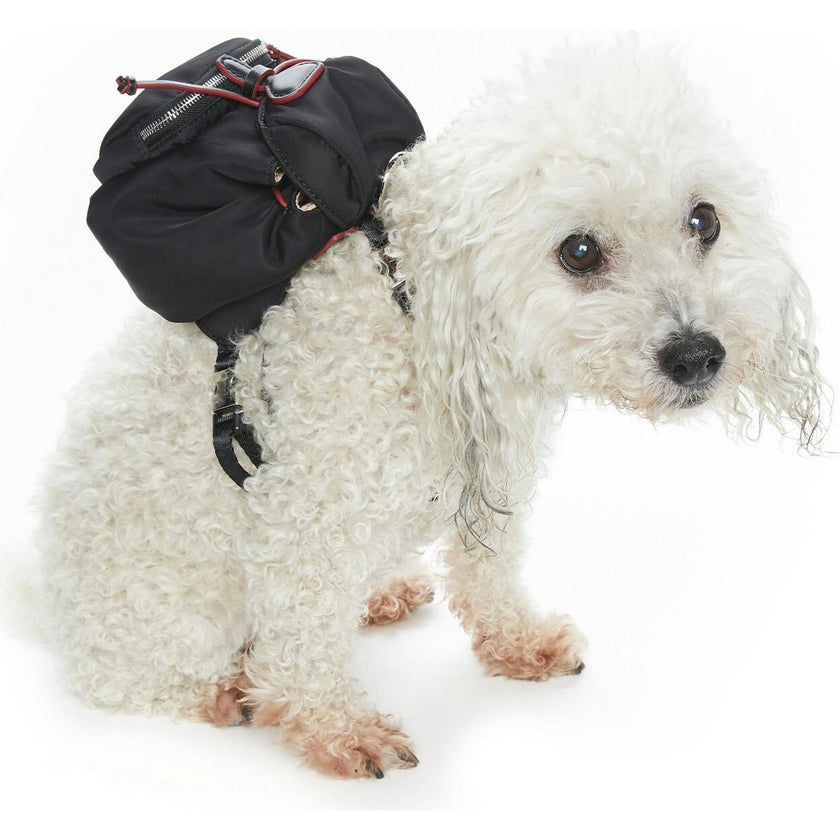 Dog Backpack