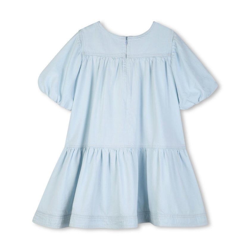 Denim Ruffled Flared Dress