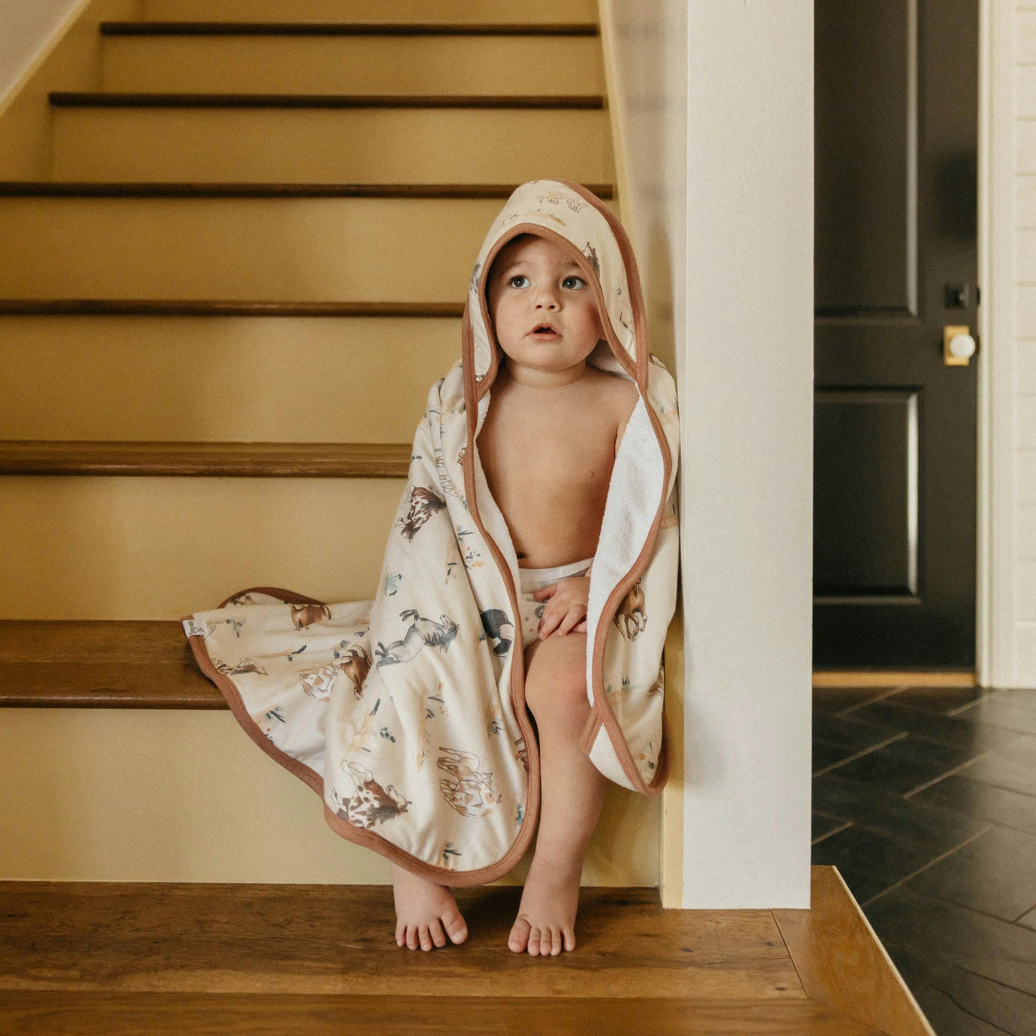 Premium Baby Knit Hooded Towel - Montana