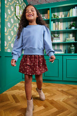 Jane Sweatshirt Chambray