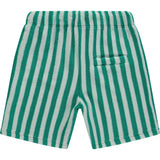 Striped Shorts