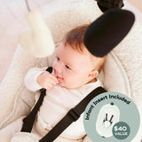 Swoon Evolution Connect Smart Baby Swing