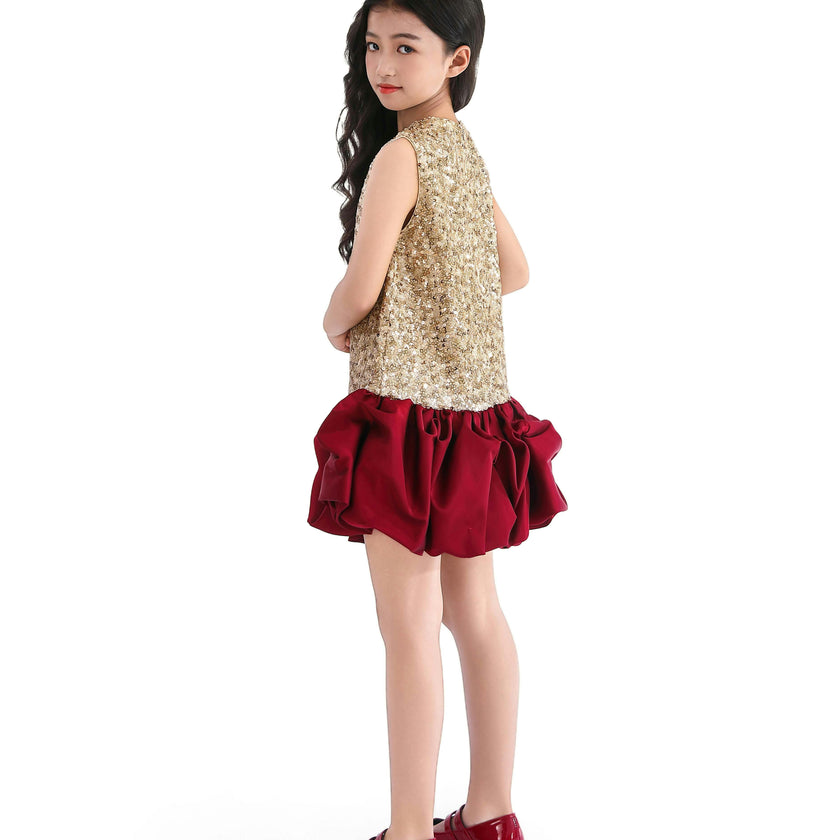 Crimson Ruffles & Golden Gleam Dress