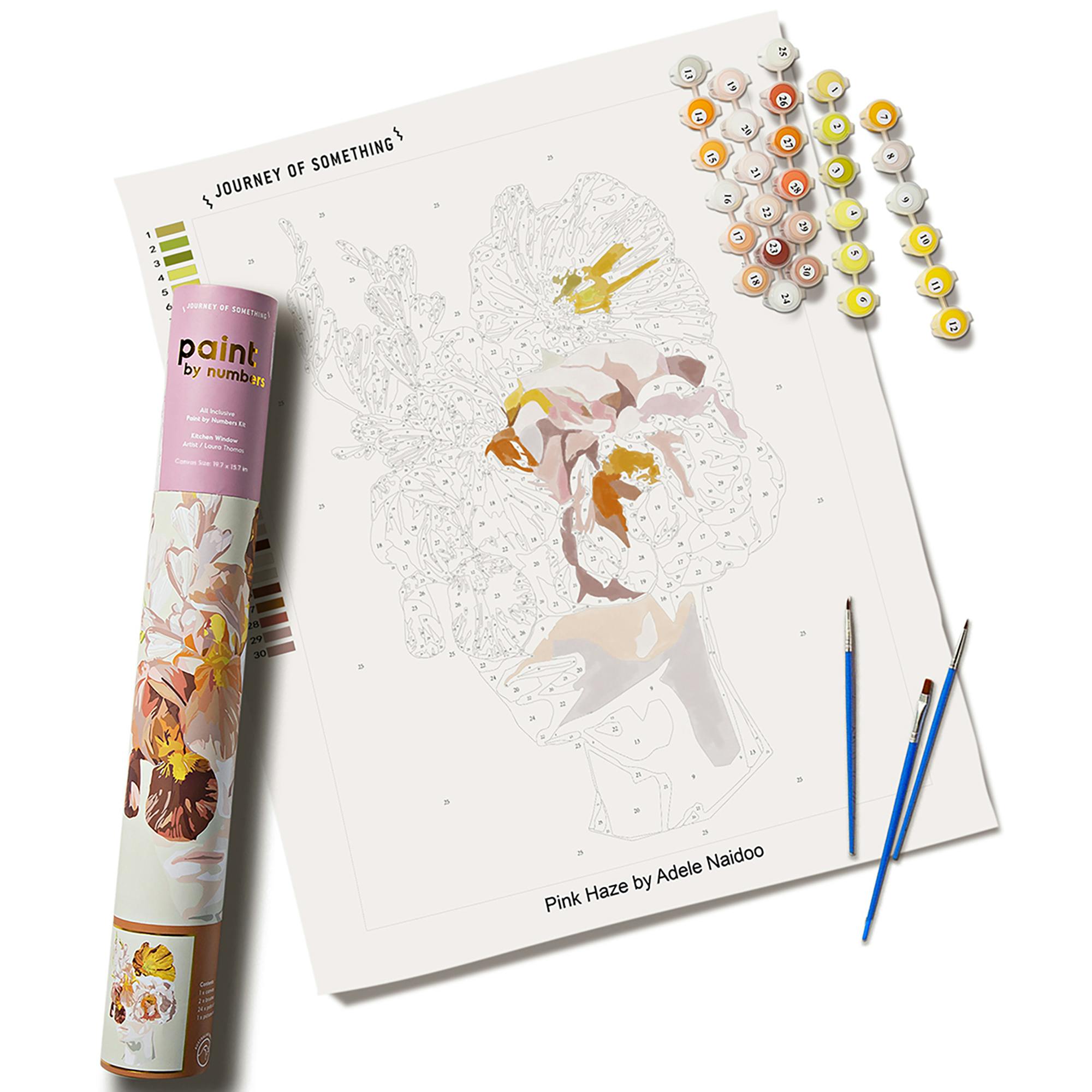 JOS: Paint By Numbers - Pink Haze