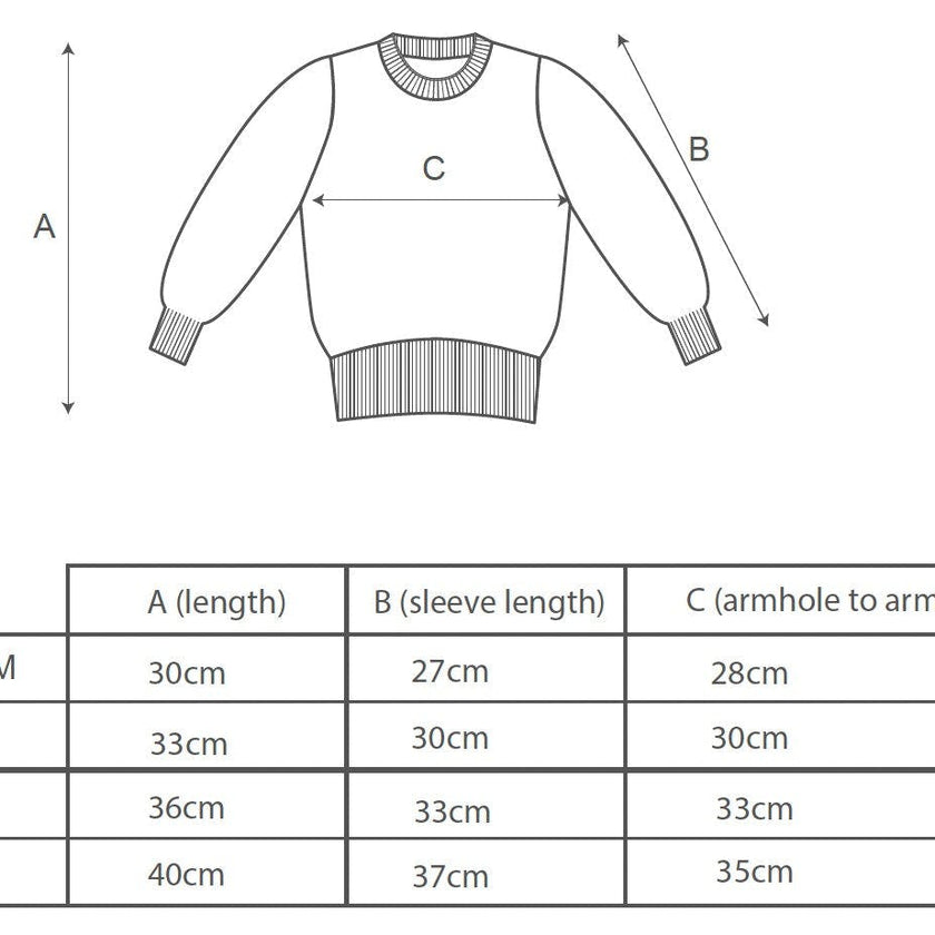 Baby Lion Jumper | Sky