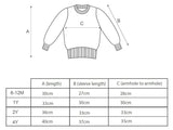 Baby Lion Jumper | Sky