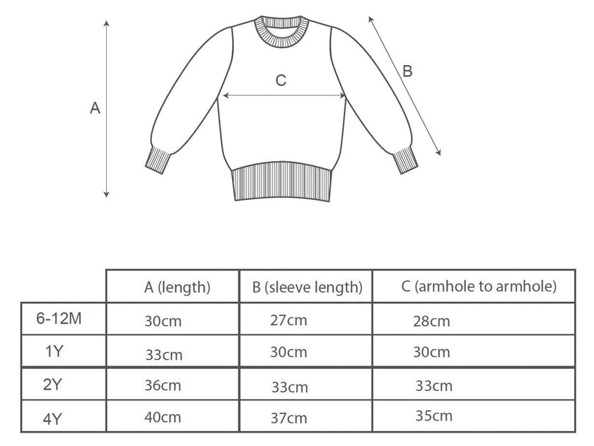 Baby Lion Jumper | Sky