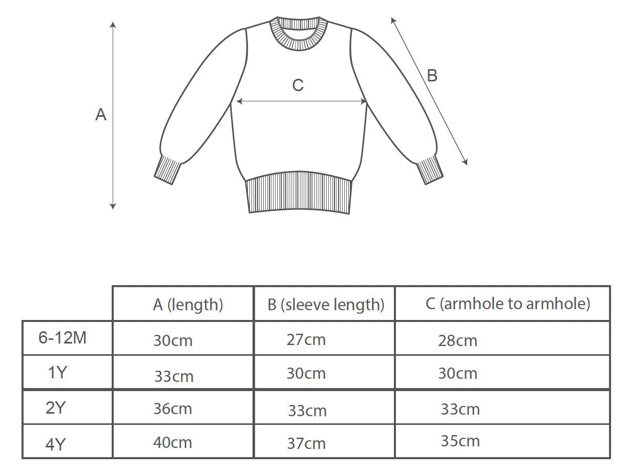 Baby Lion Jumper | Sky