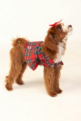 Red Plaid Dog Dress
