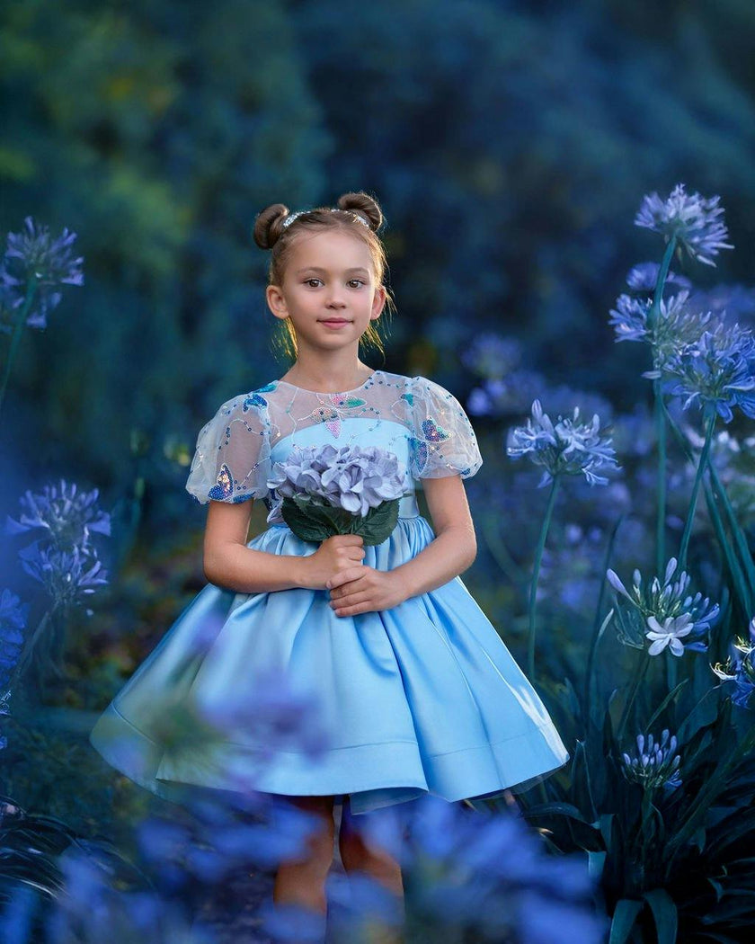 Celestial Butterfly Blue Sequin Tulle Birthday Dress for Girls