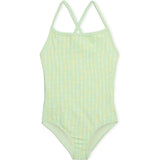 Crossback Swimsuit in Pistachio Wand