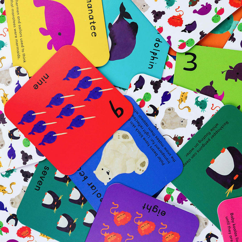 What's The Number? Number Flashcards