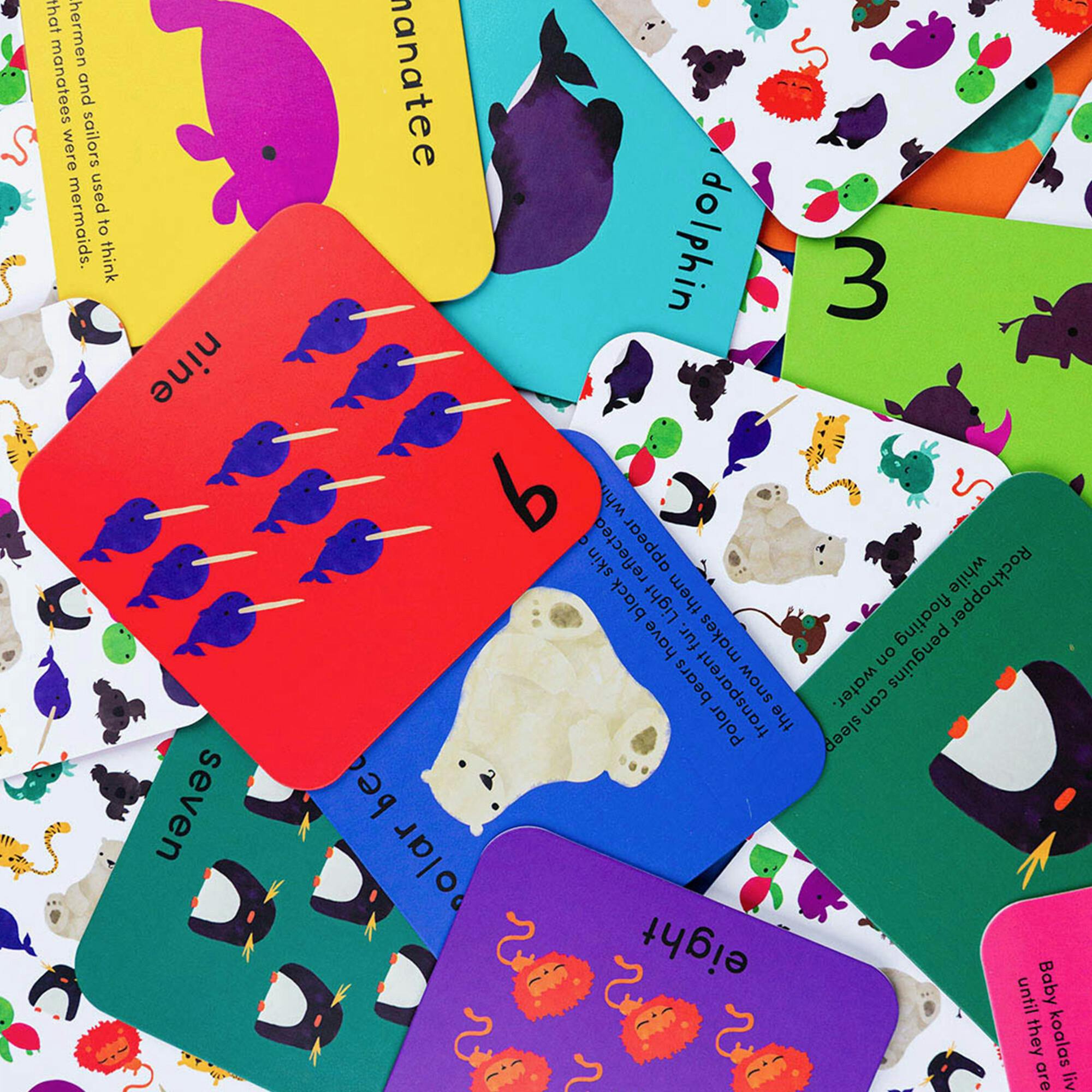 What's The Number? Number Flashcards