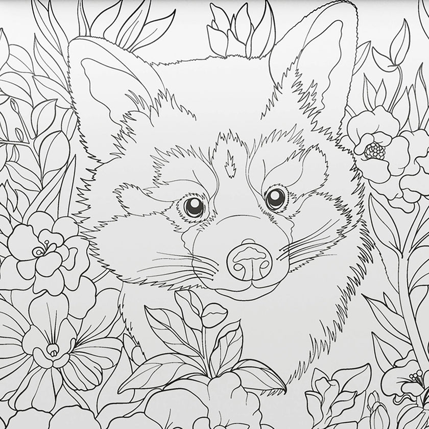 Art Maker: Cololoring Kit - Animals