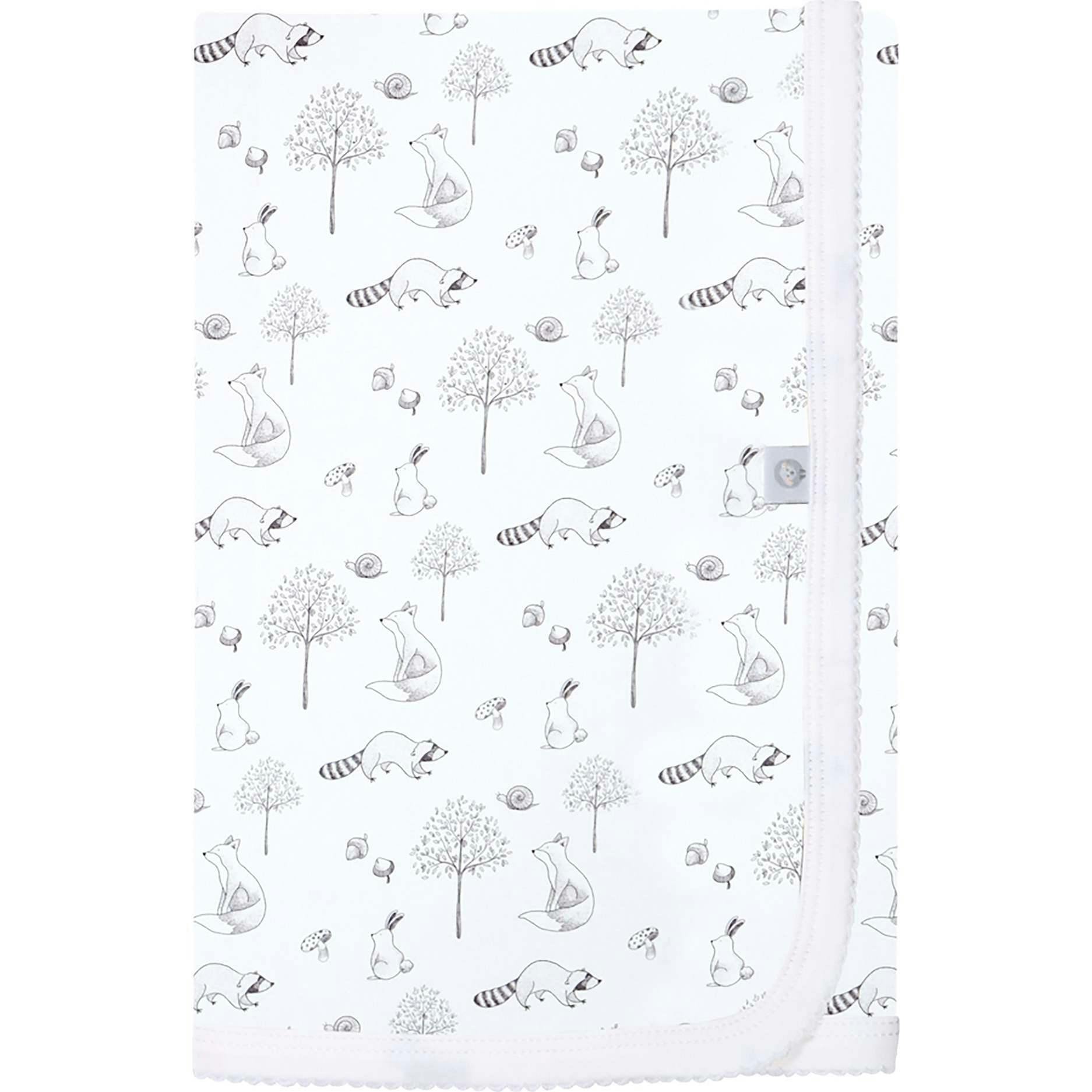 Gray Raccoon Pima Cotton Baby Blanket