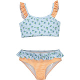 Blueberry Print Vichy Ruffle Bikini, Multi