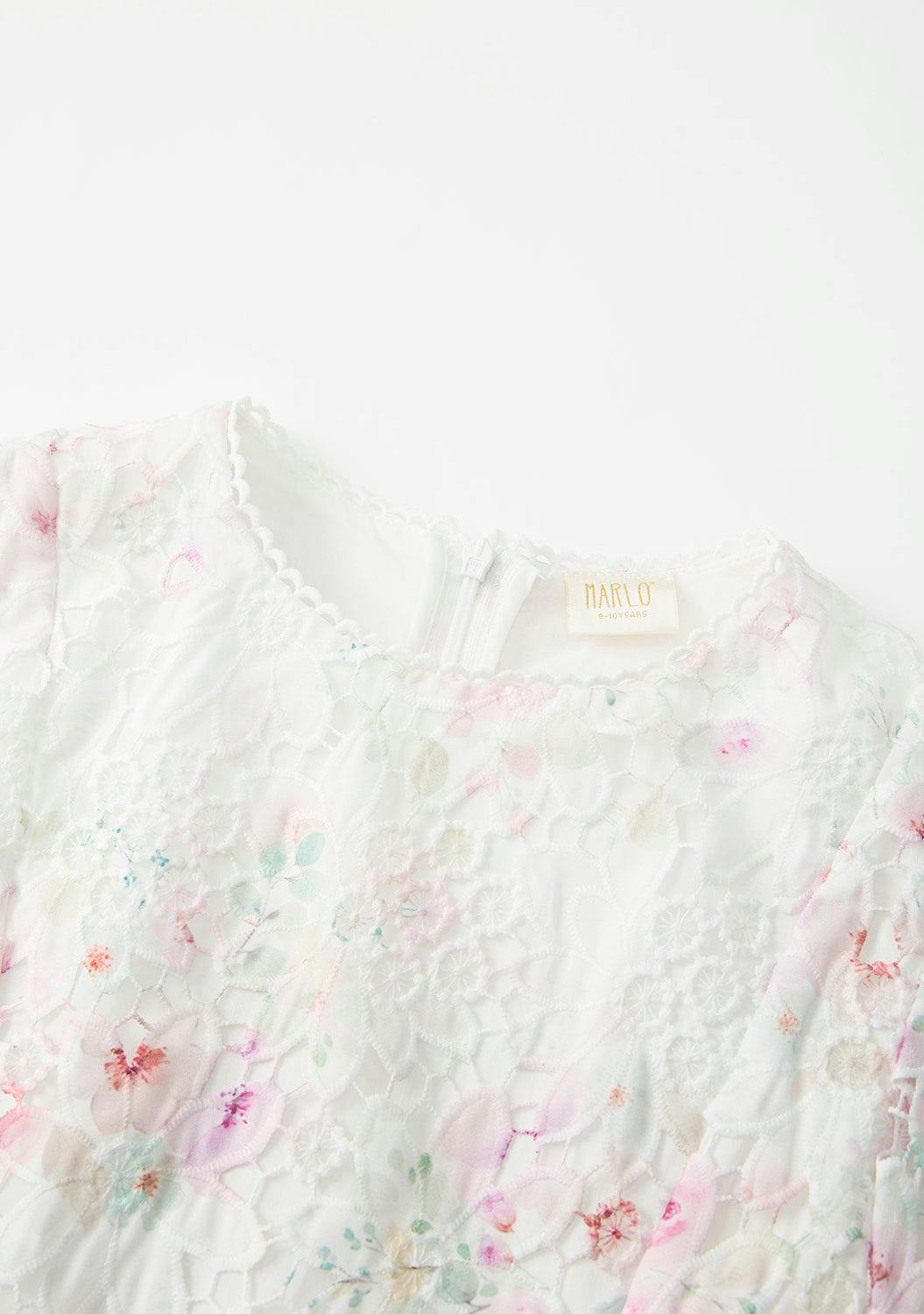 Belle Embroidered Mini Dress