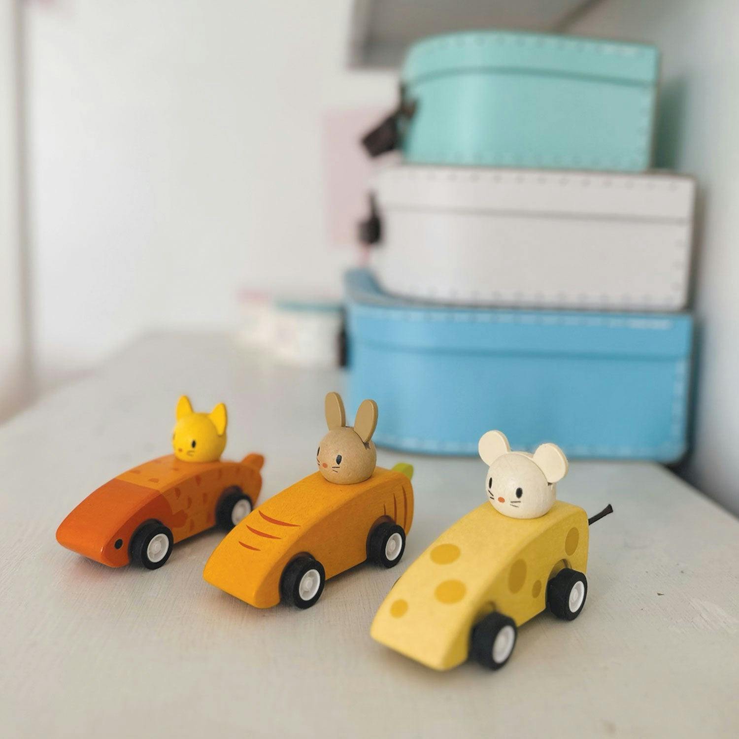 Animal Friends Racing Cars
