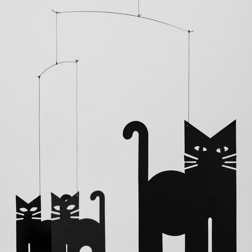 Cats.