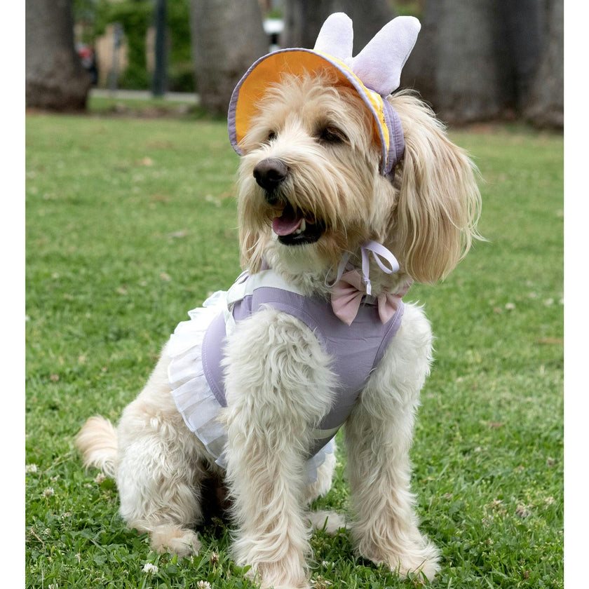 Disney Daisy Harness, Pink