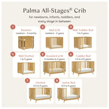Babyletto Palma 8-in-1 Convertible All-Stages® Crib with Bassinet & Toddler Bed Kits