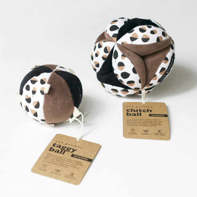 Taggy Ball with Rattle