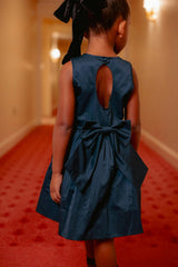 Mini Greyson Dress in Navy