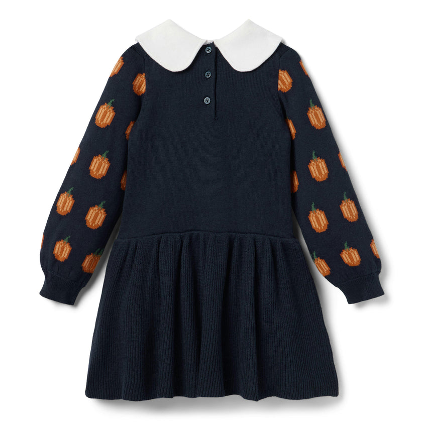 The Pumpkin Patch Sweater Dress, navy blue