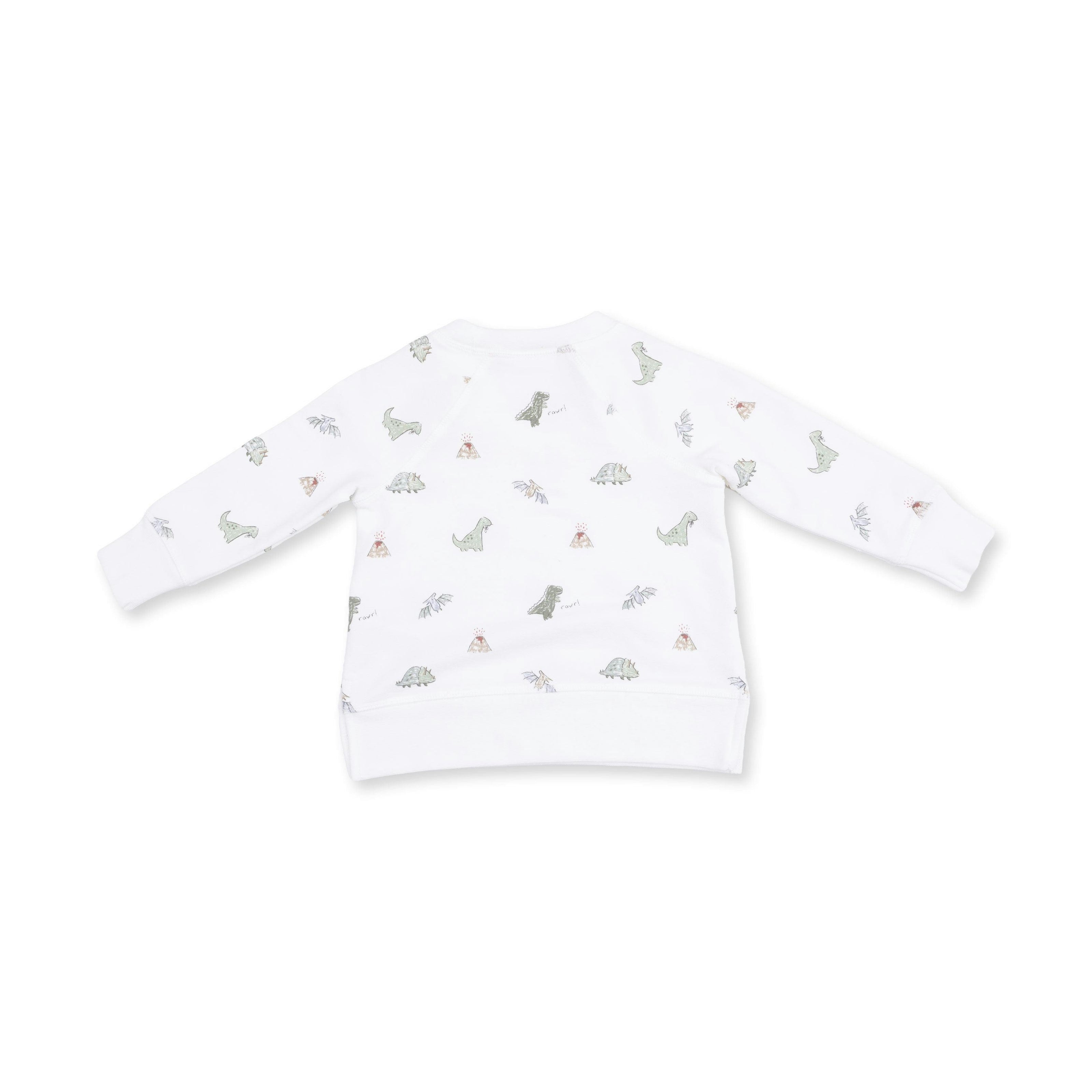 Dinos French Terry - Raglan Sweatshirt