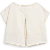 Lucky Charm Clam Print Crop Top