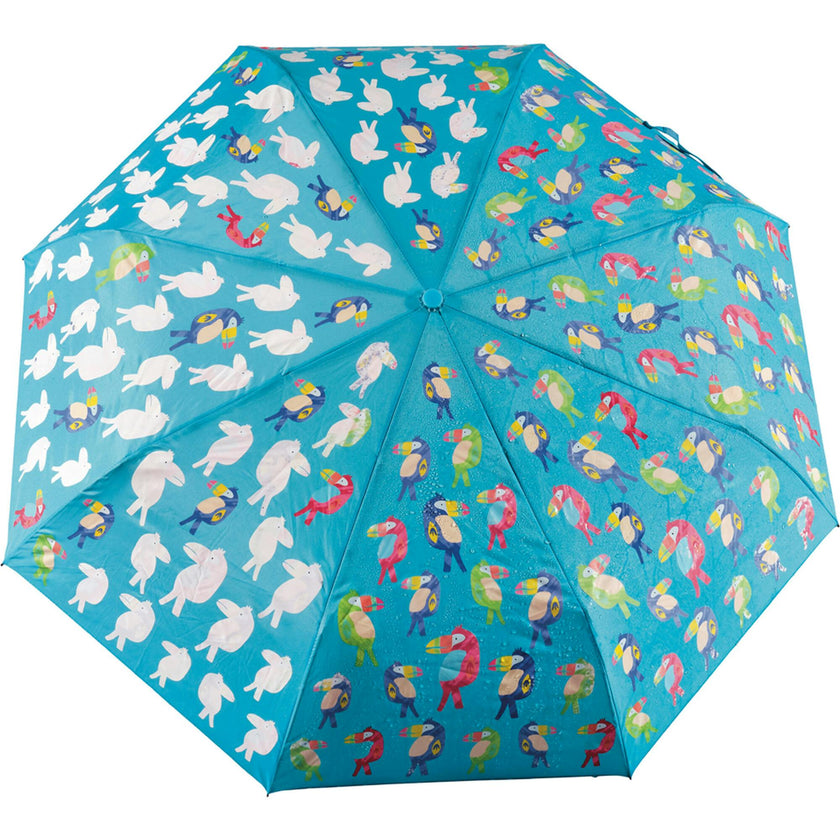 Colour Changing Umbrella
