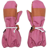 Adult Waterproof Ski Mitten