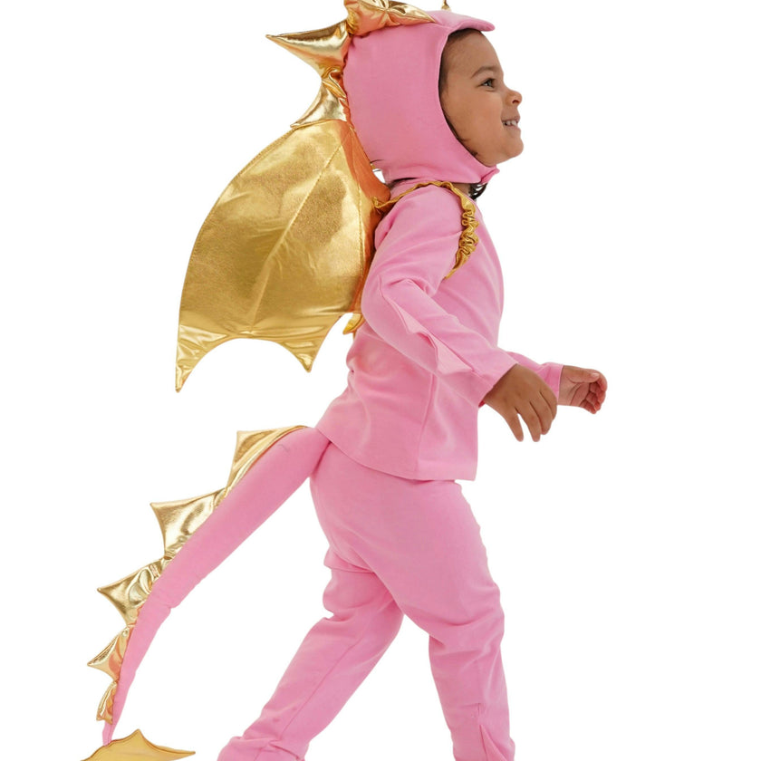 Pink Sky Dragon